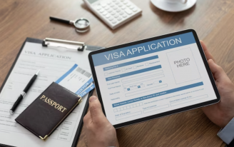 Employment visa applications and petitions