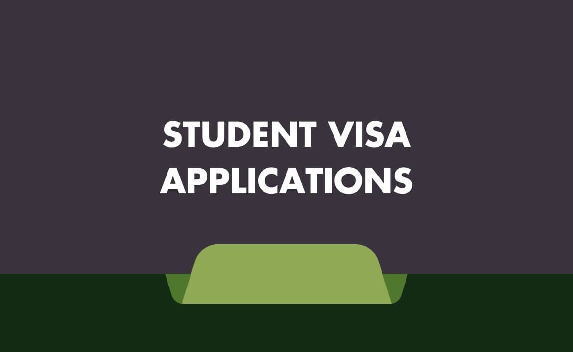 Providing information on visa options for international students