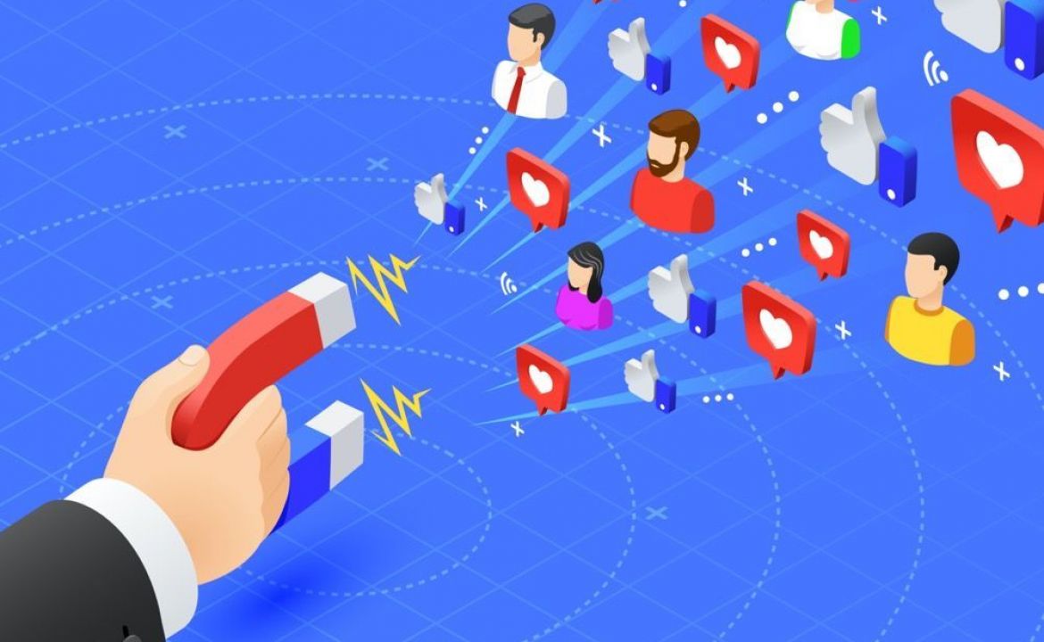 Digital Marketing Consultant