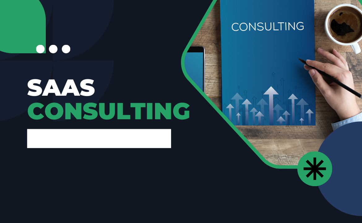 B2B SaaS Consultant