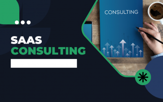 B2B SaaS Consultant